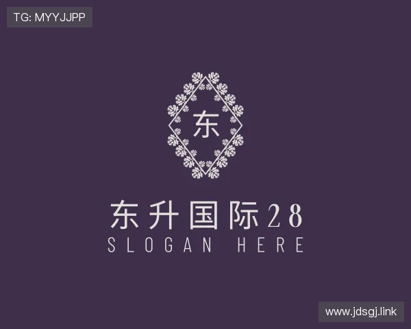 洞悉东升国际28